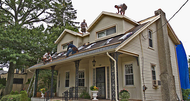 Best Roof Gutter Cleaning  in Dunnigan, CA