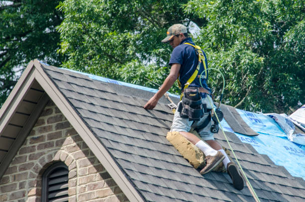 Best Shingle Roofing Installation  in Dunnigan, CA